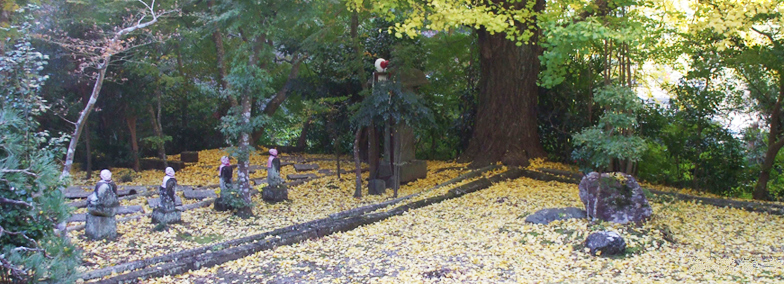 金生山海潮禅寺